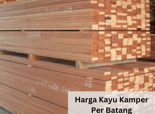 Harga kayu kamper per batang
