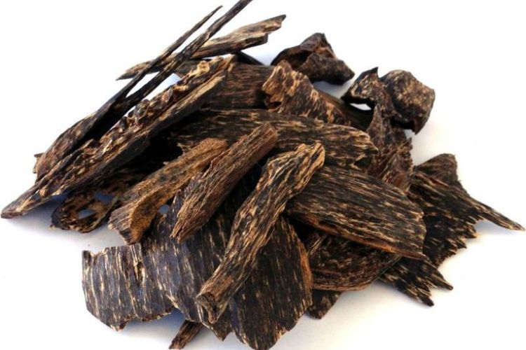 harga kayu gaharu