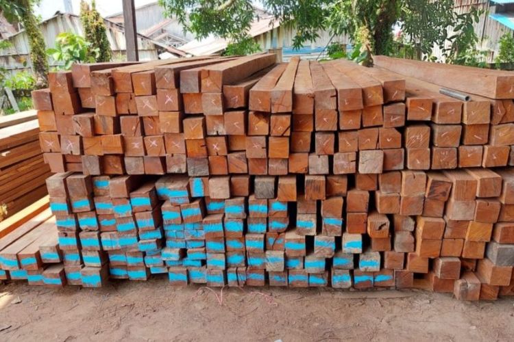 harga kayu tumi