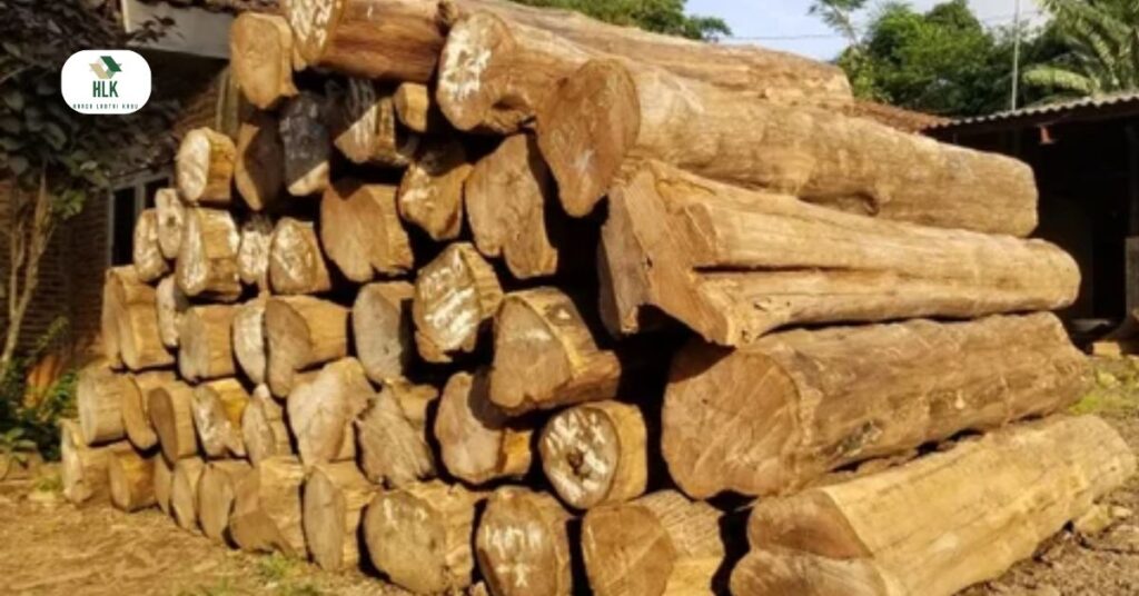 Kayu jati